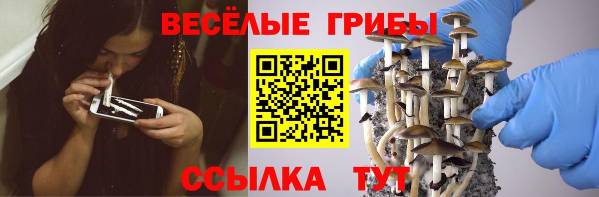 Псилоцибиновые грибы прущие грибы  Галлюциногенные грибы Psilocybe  Муравленко  Вход с VPN 
